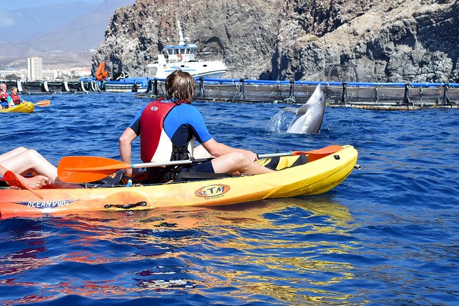Tenerife: Turtle & Dolphin Kayak Tour with Snorkel & Wetsuit - Who should book this (and who should sit this one out)