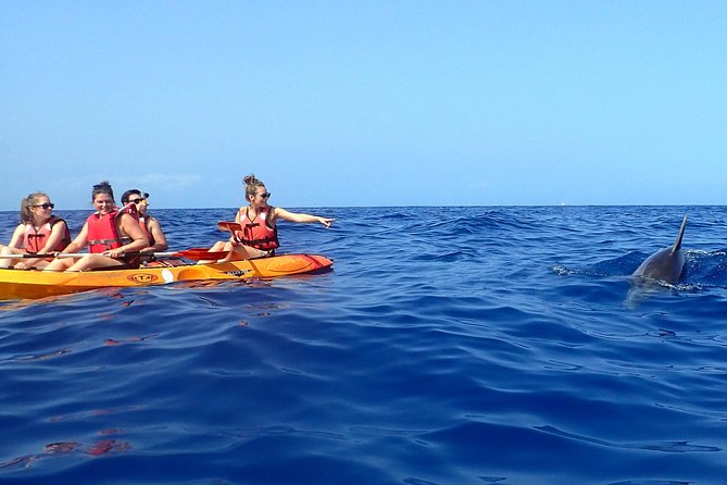 Tenerife: Turtle & Dolphin Kayak Tour with Snorkel & Wetsuit - What makes the guides matter: instruction, safety, and photos