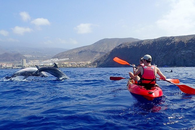 Tenerife: Turtle & Dolphin Kayak Tour with Snorkel & Wetsuit - Dolphin and turtle spotting: the thrill, plus the reality check