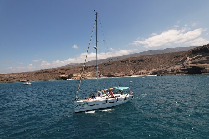 Tenerife Whale Watching and Snorkeling Yacht Trip - How the Captain Picks the Next Stop (and Why It’s Good, Not Bad)