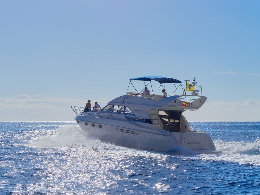Tenerife: Whales and Snorkeling Tour on a Luxury Yacht - Food, drinks, and the luxury yacht vibe that stays relaxed