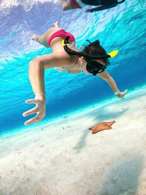 The Cozumel Turtle Sanctuary Snorkel Tour - Who this tour fits best—and who should skip it