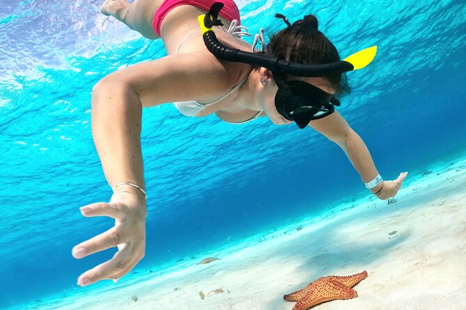 The Cozumel Turtle Sanctuary Snorkel Tour - Cozumel snorkel day basics: what you’re buying for $65.58