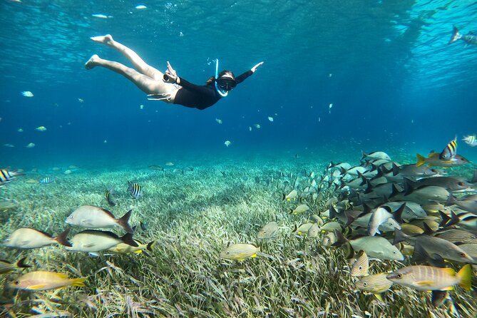 The Cozumel Turtle Sanctuary Snorkel Tour - The itinerary in plain language: turtles, starfish, and Little Heaven