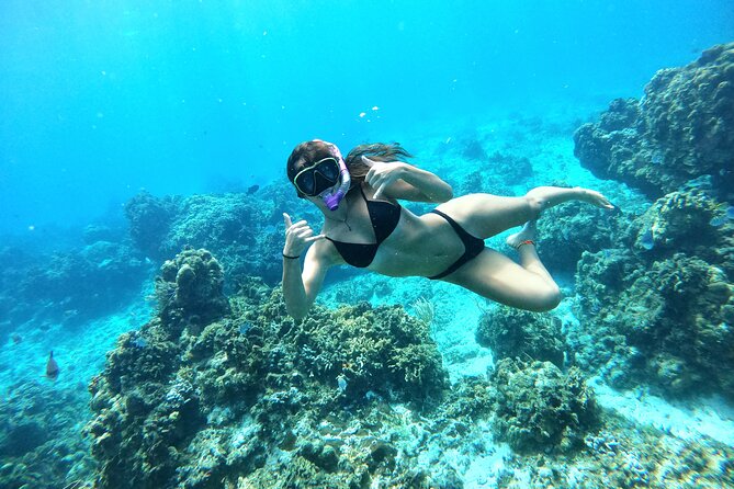 The Cozumel Turtle Sanctuary Snorkel Tour - Crew and group size: what makes it feel smooth