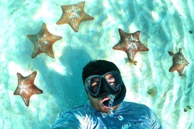 The Cozumel Turtle Sanctuary Snorkel Tour - Price reality check: government fees, pier taxes, and photo add-ons