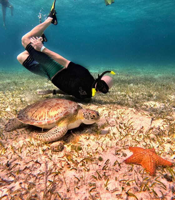 The Cozumel Turtle Sanctuary Snorkel Tour - What can go wrong (and how to plan around it)