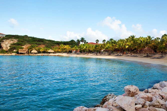 The Curacao Private Beach Hopping / Snorkeling Tour - The cliff-jumping beach stop: adrenaline, optional