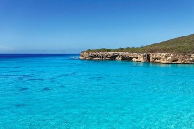 The Curacao Private Beach Hopping / Snorkeling Tour - Swim With the wild Sea Turtles: the stop that makes the day worth it