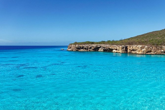 The Curacao Private Beach Hopping / Snorkeling Tour - Swim With the wild Sea Turtles: the stop that makes the day worth it