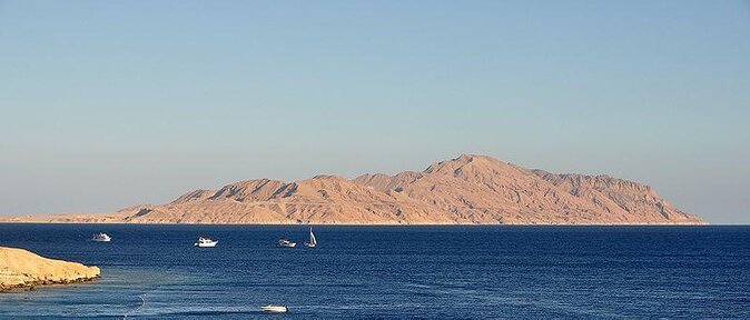 Tiran Island Snorkeling Excursion - Key things I’d clock before you go