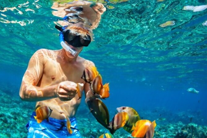 Tiran Island Snorkeling Excursion - Should you book Tiran Island snorkeling from Sharm el Sheikh?