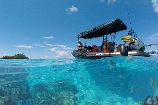 Tohora Bora Bora Snorkeling Lagoon Tours - A Small-Group Lagoon Snorkel With Gear and Local Guides