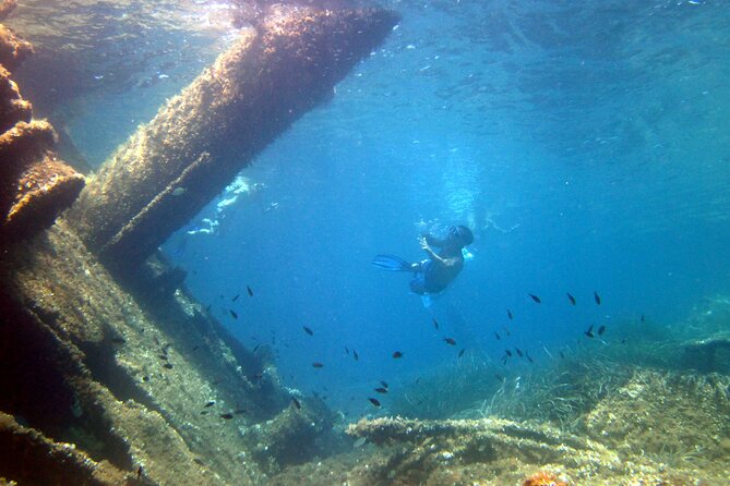 Tour to Figarolo Island with the possibility to observe dolphins - Where Figarolo fits on Sardinia’s coast