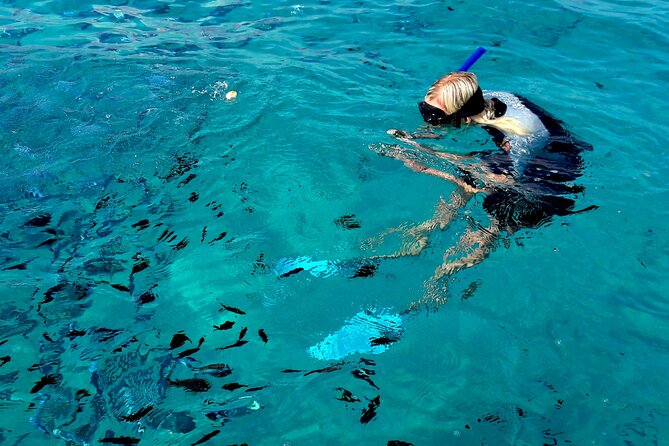 Tour to Figarolo Island with the possibility to observe dolphins - Capo Figari or Capo Ceraso: limestone cliffs and coves
