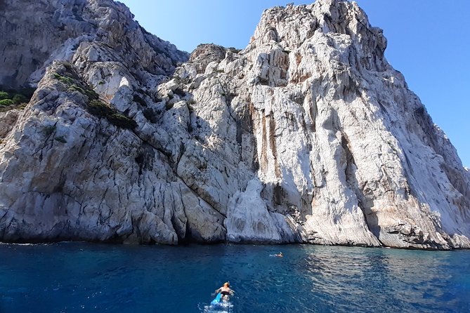 Tour to Figarolo Island with the possibility to observe dolphins - The last swim stop at Cala Moresca (and snack timing)