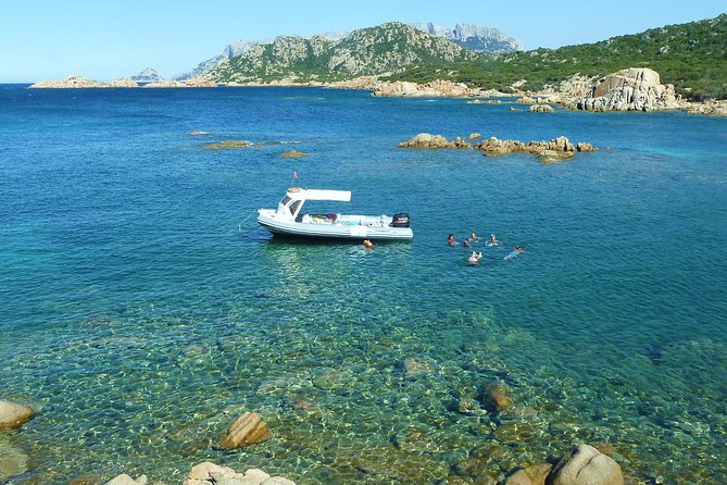 Tour to Figarolo Island with the possibility to observe dolphins - The boat ride: fast, comfortable, and built for short adventure