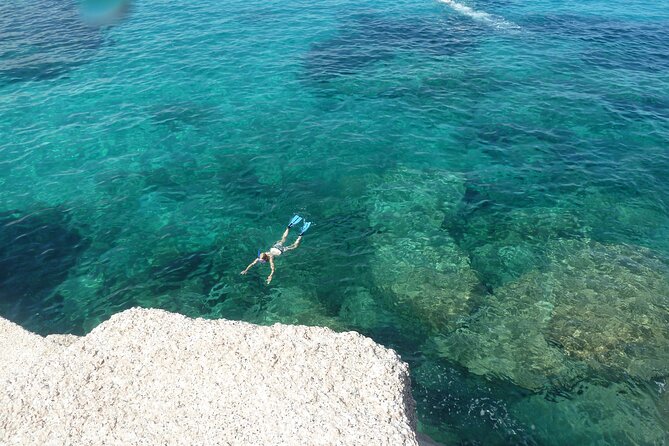 Tour to Figarolo Island with the possibility to observe dolphins - Dolphin-spotting odds that feel unusually realistic