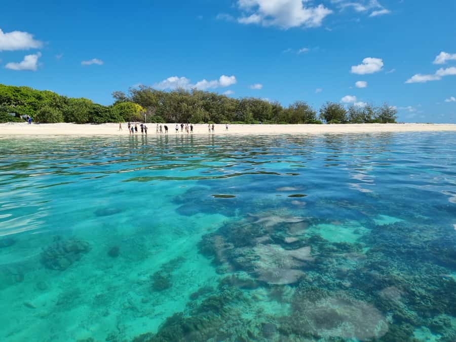 Town of 1770: Lady Musgrave Island Snorkelling Day Cruise - Key points you’ll feel on the day
