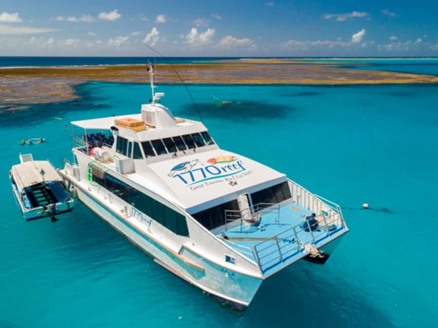 Town of 1770: Lady Musgrave Island Snorkelling Day Cruise - From 1770 to Lady Musgrave: the catamaran ride that sets the tone