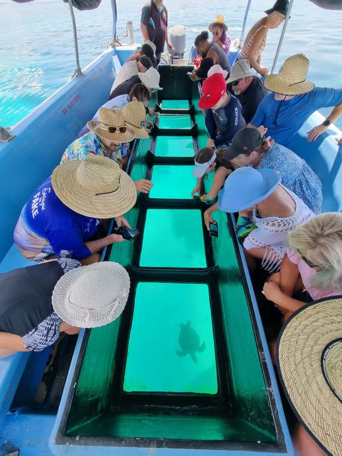 Town of 1770: Lady Musgrave Island Snorkelling Day Cruise - Food and breaks: keeping the day cruise from feeling like a grind