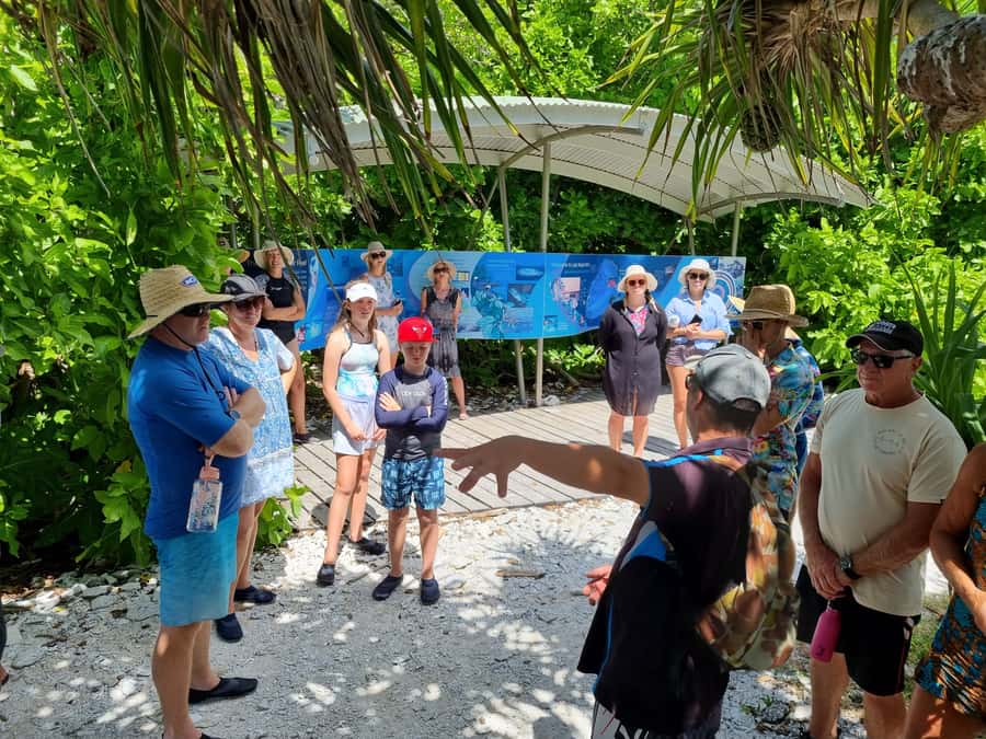 Town of 1770: Lady Musgrave Island Snorkelling Day Cruise - Price and value: is $198 worth it for this reef day?