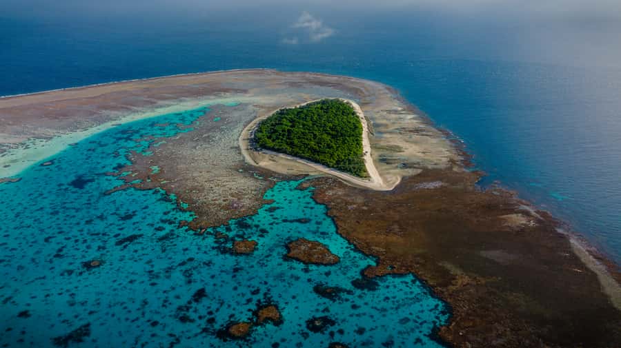 Town of 1770: Lady Musgrave Island Snorkelling Day Cruise - Snorkelling in the protected lagoon: what you’ll see and why it works