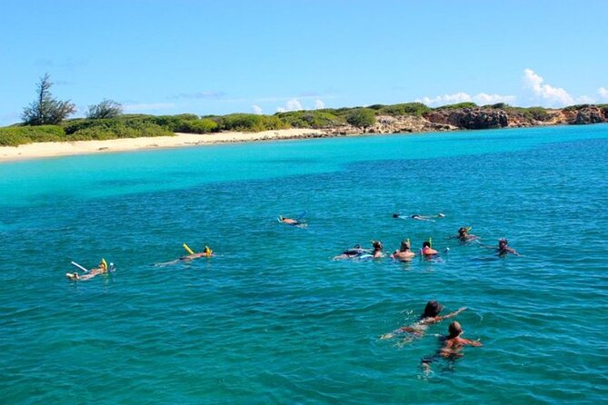 Tropical Catamaran Snorkeling & Sailing - Key points to decide fast
