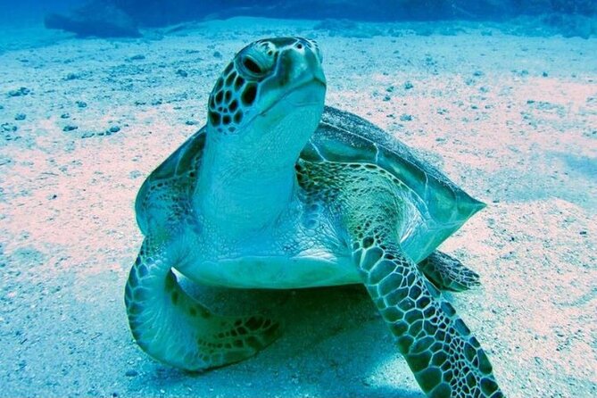 Tropical Catamaran Snorkeling & Sailing - Anchor time at multiple beaches: what you get at each stop