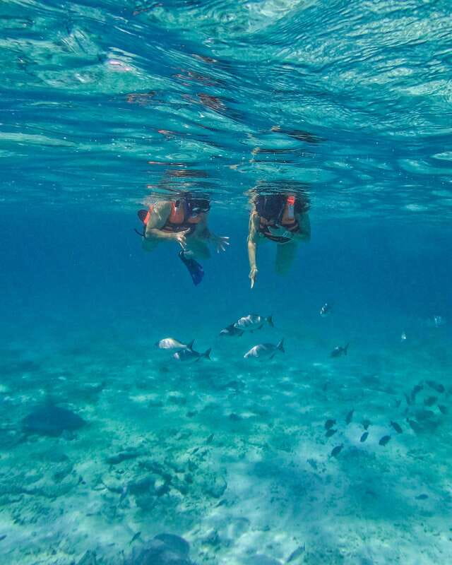 Tulum: 2-Hour Snorkeling in Two Spots of Tulum's Reef - Key things I’d prioritize