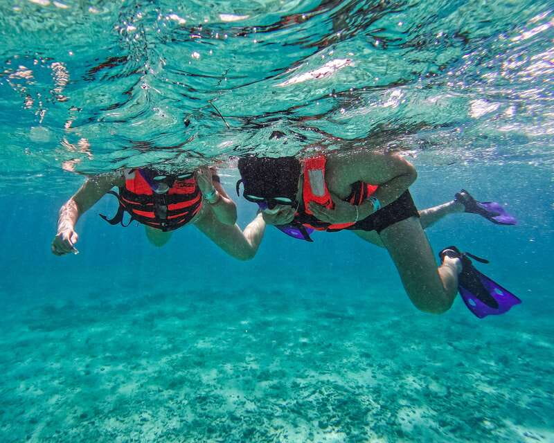 Tulum: 2-Hour Snorkeling in Two Spots of Tulum's Reef - Who This Snorkel Tour Is Best For