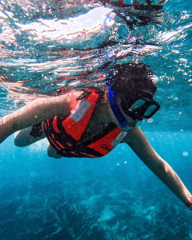 Tulum: 2-Hour Snorkeling in Two Spots of Tulum's Reef - Price and the Real Total Cost: $50 Is Just the Start