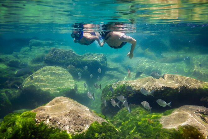 Tulum Guided Tour, Magical Cenote, Lagoon Snorkeling and Beachside Lunch - Who should book this Tulum cenote and lagoon tour (and who should skip)