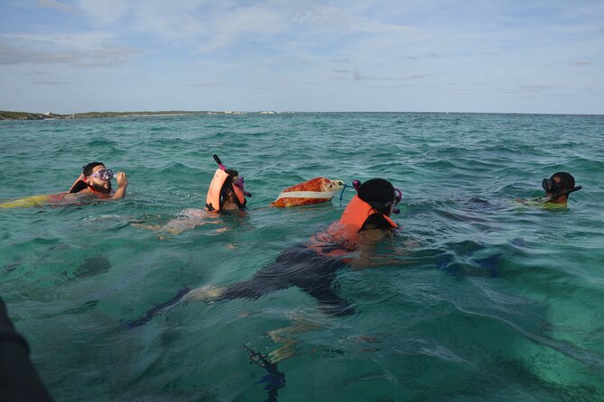 Tulum: Snorkeling and Private Sailing Tour - Snorkeling on the Tulum reef: gear included, support provided, wildlife possible