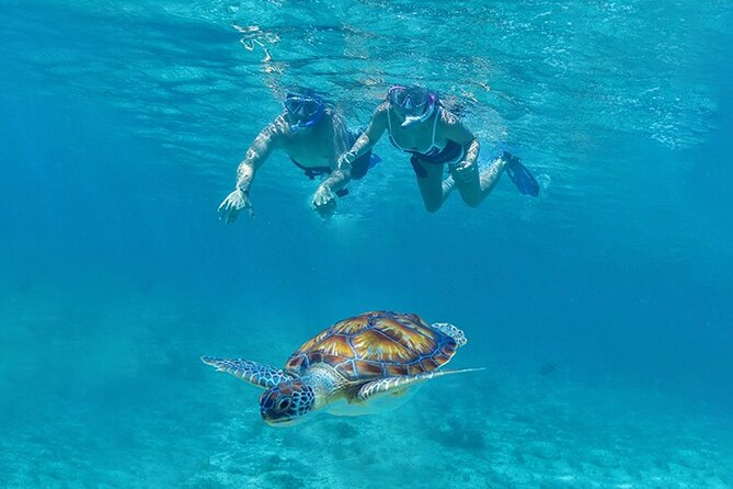 Tulum, Snorkeling with Sea Turtles, Cenote and Beachside Lunch - A One-Day Tulum Hit List That Actually Feels Organized