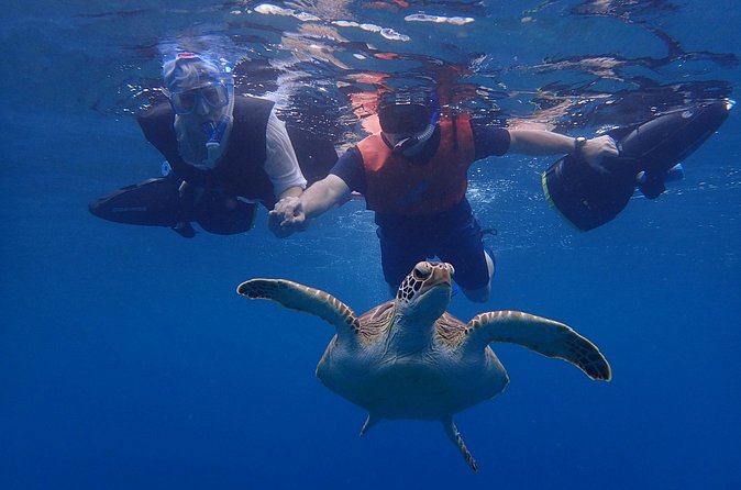 Turtle Beach Power Snorkeling Adventure - Photos, Water, and Other Small Things That Add Real Value
