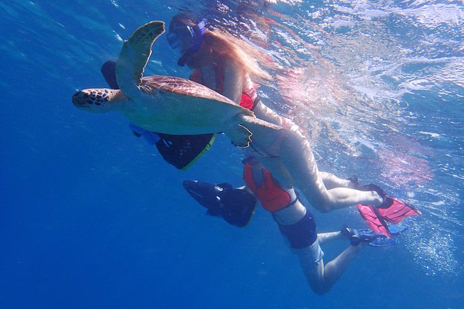 Turtle Beach Power Snorkeling Adventure - Your First Minutes in the Water: Scooter Training That Makes Safety Feel Real