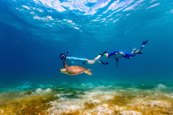 Turtle Canyon Snorkel Adventure - Small Group 6 Passengers - The 28-foot speedboat: quick, scenic, and not slow-boring