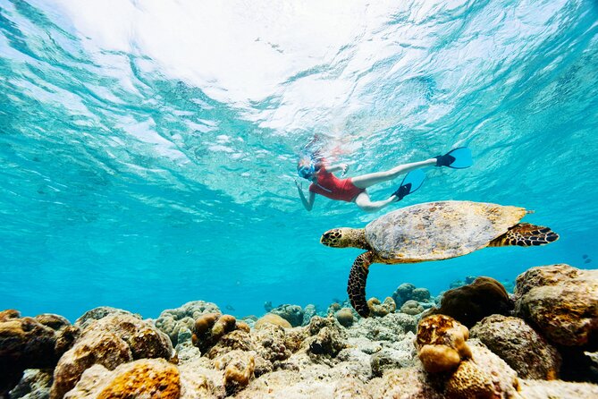Turtle Canyon Snorkel Adventure - Small Group 6 Passengers - Snacks, water, and the ride back that feels low-pressure