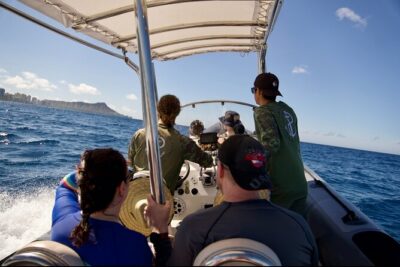 Turtle Canyon Snorkel: Semi Private Boat Tour - Waikiki as your warm-up stop: what you’ll look for