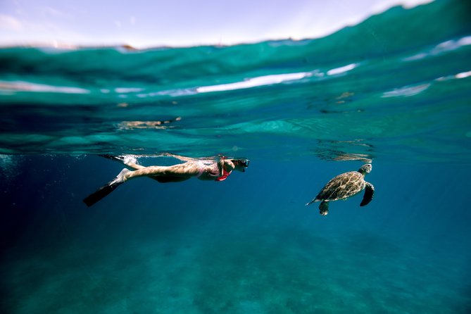 Turtle Cove Catamaran Snorkel and Sail at Little Buck Island STT - Sailing from Marriott Frenchman’s Cove: logistics that save time