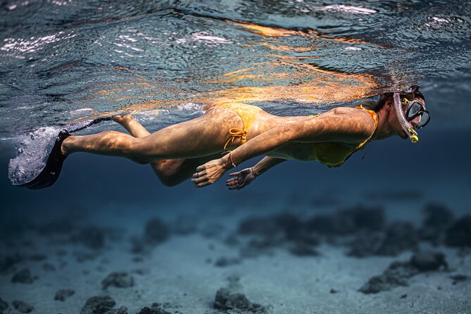 Turtle Snorkeling Aruba: Private Tour with Video - The value of turtle insurance and what it covers