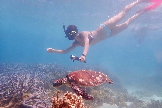 Turtle Tour - Ningaloo Reef Half Day Sea Kayak and Snorkel Tour - Guides You’ll Actually Remember: The Human Side of the Reef