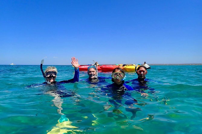 Turtle Tour - Ningaloo Reef Half Day Sea Kayak and Snorkel Tour - Kayaking in the Ningaloo Nursery: What You’re Actually Looking For