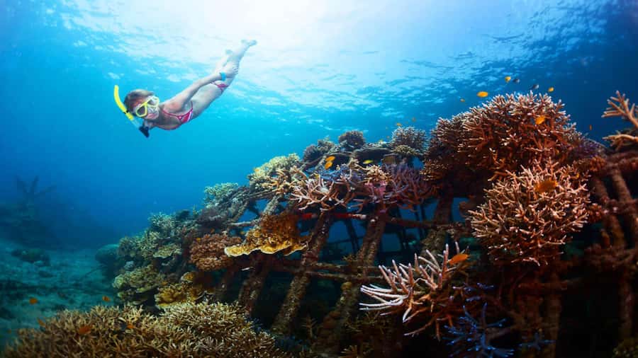 Ubud: Tegenungan Waterfall, Snorkeling, and Canyoning Tour - Key takeaways