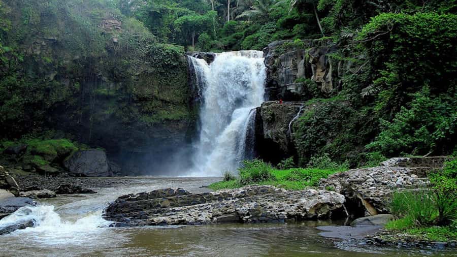 Ubud: Tegenungan Waterfall, Snorkeling, and Canyoning Tour - Snorkeling at Tanjung Jepun and Blue Lagoon: see fish, not just water