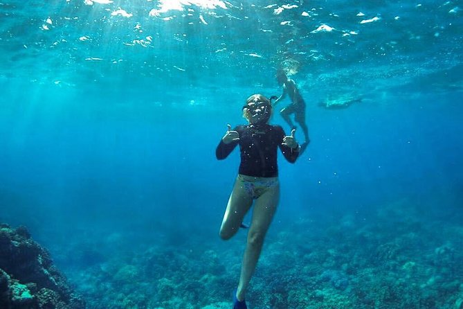Ultimate 4 Hour Lanai Snorkel and Dolphin Encounter - Dolphins, plus whale season: how the timing can pay off
