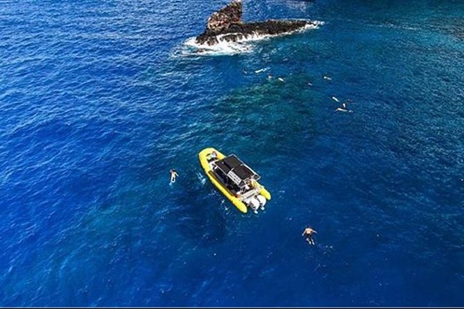 Ultimate 4 Hour Lanai Snorkel and Dolphin Encounter - Safety-first guide style: how it helps you enjoy snorkeling more