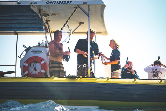 Ultimate 4 Hour Lanai Snorkel and Dolphin Encounter - Price and value: is $175 worth it on Maui?