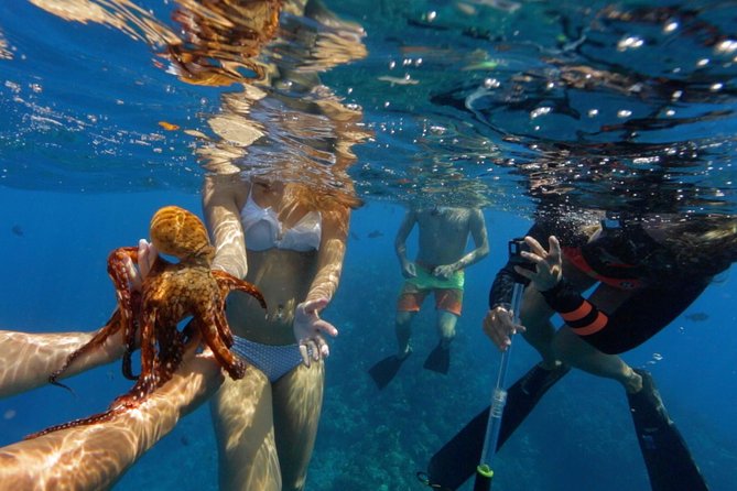 Ultimate 4 Hour Lanai Snorkel and Dolphin Encounter - Who should book this Lanai snorkel and dolphin encounter